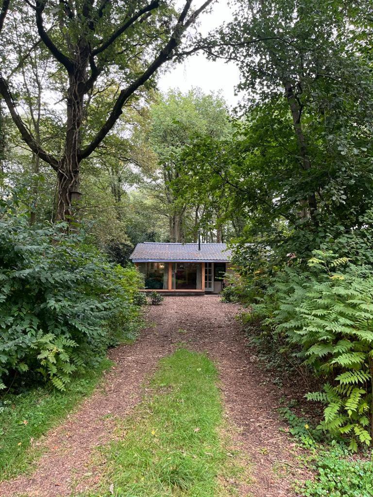 Huisje In Het Bos Зюдларен Экстерьер фото